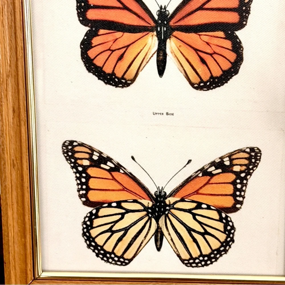 Monarch Butterfly Pair Vintage Style Canvas Art Print Wood Framed Wall Hang Art
